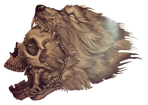 Wolf Skull Tattoo Drawing
