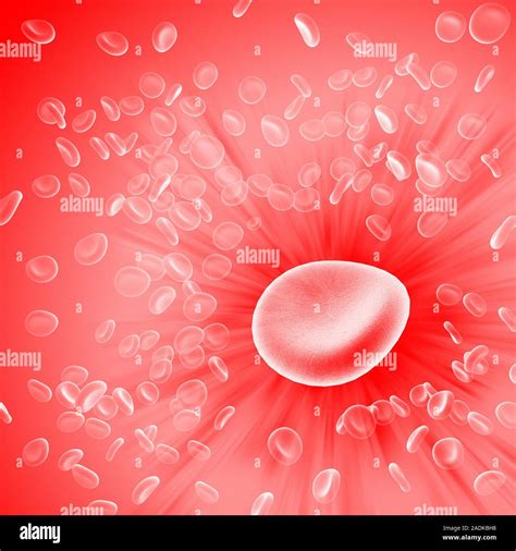 Red Blood Cells Computer Artwork Of Human Red Blood Cells
