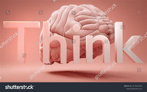 Human Brain Behind Word Think Concept Stock Illustration 2175521593