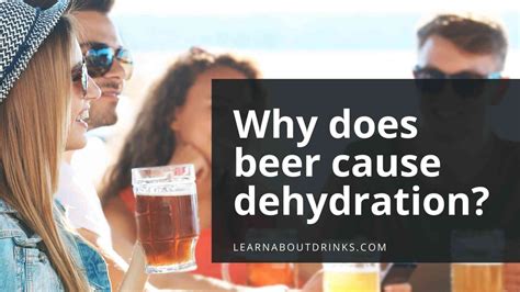 Why Does Beer Cause Dehydration