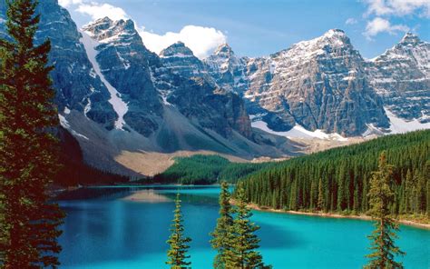 Nature Of Life Mountains Canada Alberta