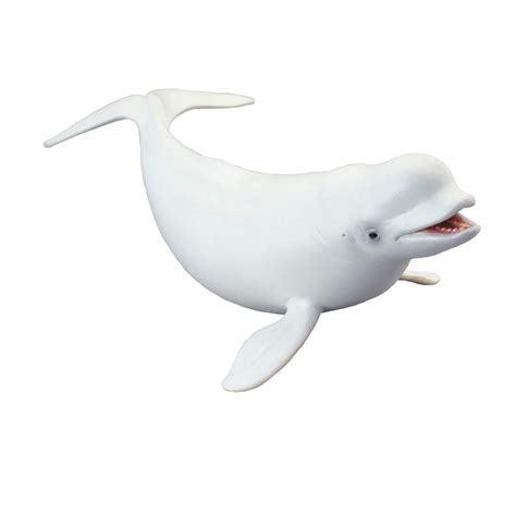 Buy Collecta Sea Life Beluga Whale Toy Figure Authentic Hand Painted