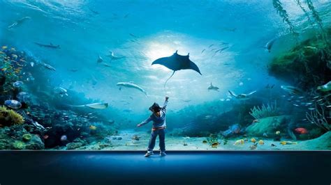 Acquario di Genova 2022: prezzi, offerte biglietti, orari