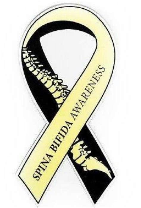 Dysautonomia chiari malformation invisible illness ehlers danlos #chiari. Spina bifida awareness, Spina bifida awareness month ...