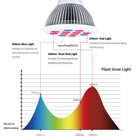 Led Grow Lights Review Tomato Growing