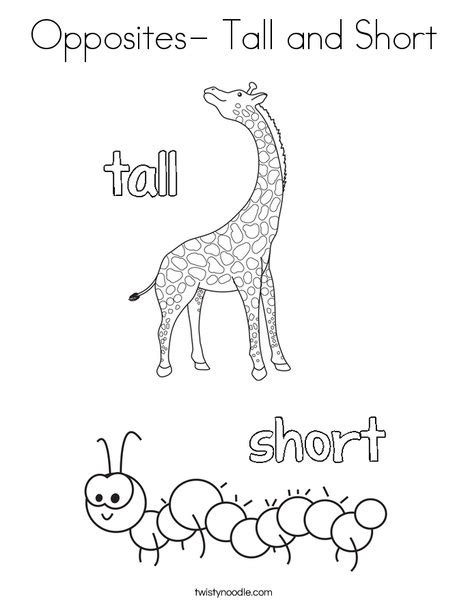 Opposites Tall And Short Coloring Page Twisty Noodle
