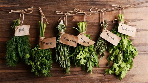 6 Best Easy To Grow Plants For Your Indoor Herb Garden