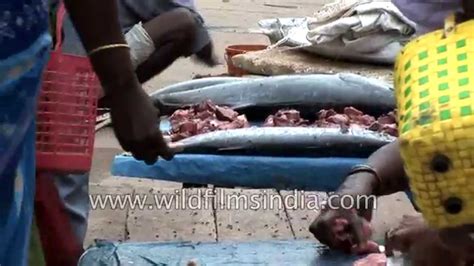 At alibaba.com, you get to pick from billions of efficient. Women selling seafood at a market in Chennai - YouTube