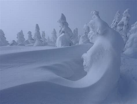 Fresh Pics Snow Monsters Of Japan