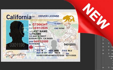 California Driver License Psd Template New Mr Verify
