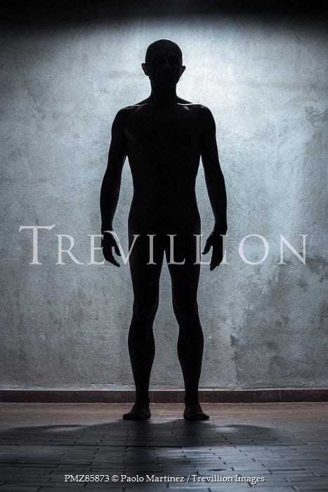 Trevillion Images Paolo Martinez SILHOUETTED NAKED MAN STANDING IN ROOM PE