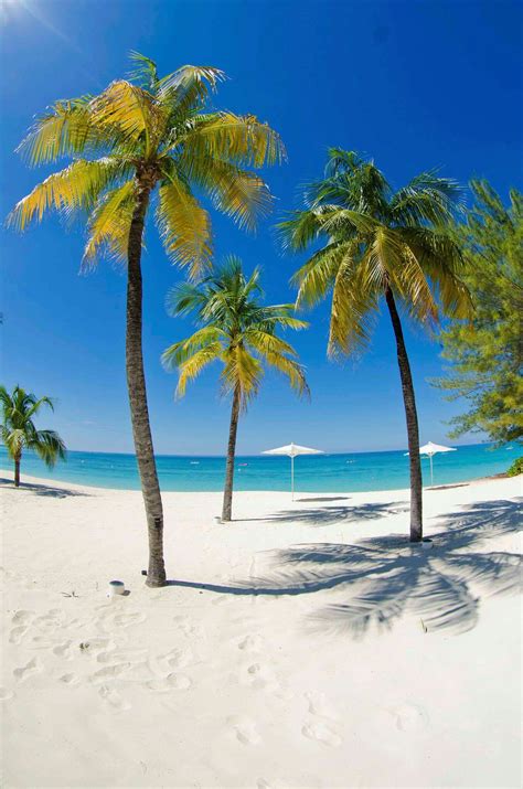 Cayman Islands Beautiful Beaches Beach Trip Scenery