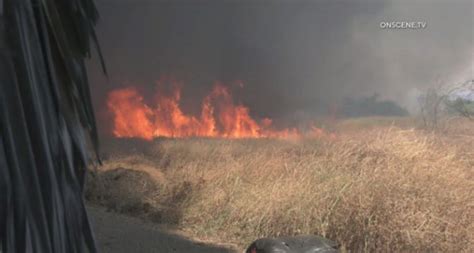 Brush Fire Breaks Out In Sepulveda Basin Area Consumes About Seven