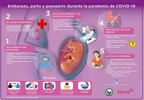 Infograf A Embarazo Parto Y Puerperio Durante La Pandemia De Covid