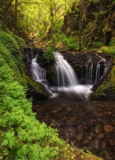 Emerald Falls Greens Waterfall Columbia River Gorge Forest Oregon