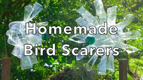 How to make a Bird Scarer #pestrepellent #birdrepellent # ...