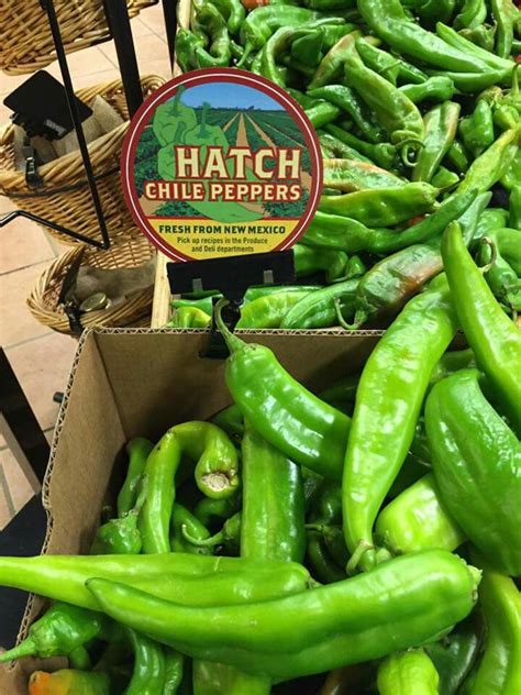 Any mild green pepper would probably be ok. Hatch chile peppers | Stuffed peppers, Hatch chile, Chile ...