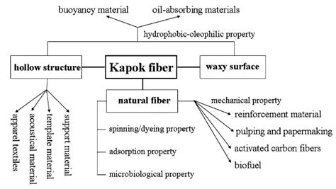 Kapok Fiber Properties Processing And Applications Textile Blog