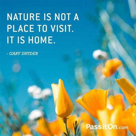 Explore The Value Of Appreciating Nature With The Foundation For A