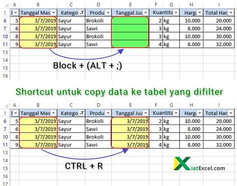 FAQs: Mengkopi Isi Excel pada Data yang Telah Difilter