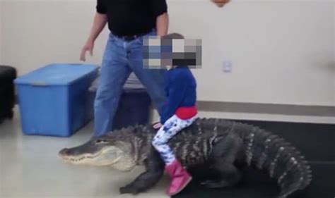 Shocking Video Of A Young Girl Riding A Fully Grown Alligator Has Gone