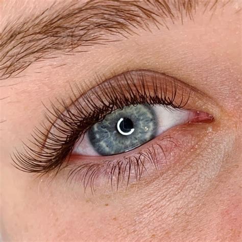 Brown Eyelash Extensions A New Trend Is Coming — Bl Lashes
