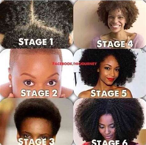 the many stages of the big chop hair stages hair growth stages natural hair styles