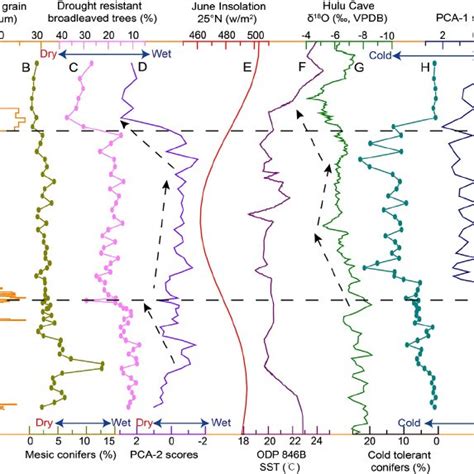 Regional And Global Correlations A Sediment Mean Grain Size Record