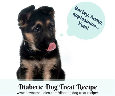There are more recipes for dogs with diabetes out there (including our 25 vet recommended recipes book). Diabetic Dog Treat Recipe with Barley and Hemp Hearts | PawsomeOldies.com