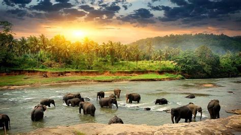 Sri Lanka Is Going All Out To Woo Indian Tourists Heres