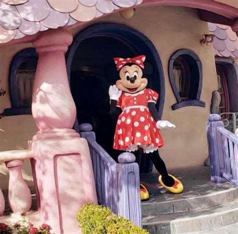 Mousewait Disneyland The Hub