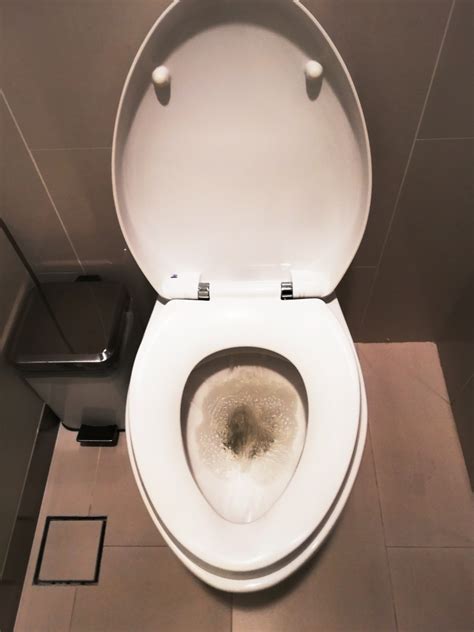 How To Identify A Leaking Toilet And Prevent It Plumbing Services In