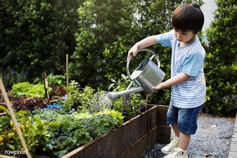 Download Premium Image Of Little Boy Watering The Plants 147474