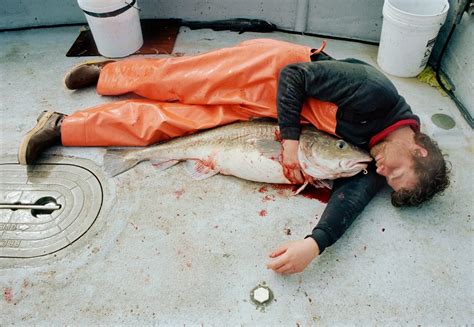 Corey Arnolds Photos Of Crab Fishing On The Bering Sea Business Insider