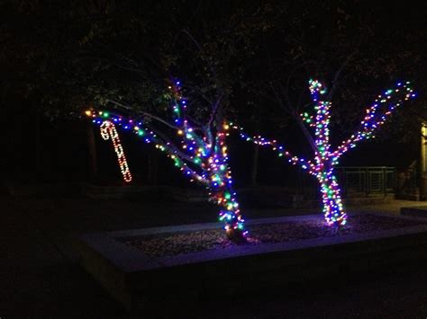 Christmas Lights Zoo Baton Rouge Ideas Christmas Decorating