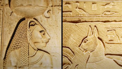 How Bastet Warrior Goddess Of Fertility Evolved Into A Cat Nerdist