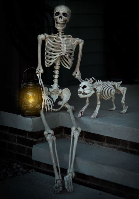 Poseable Realistic Skeleton Decoration