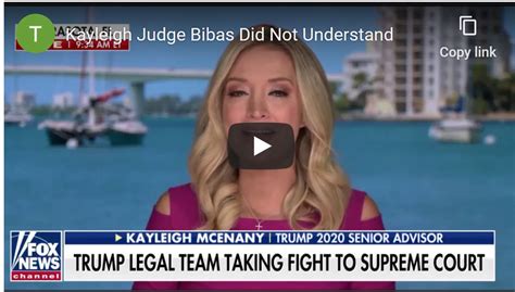 Kayleigh Mcenany Says Circuit Court Judge Misunderstood The Argument This Is Lower Merion