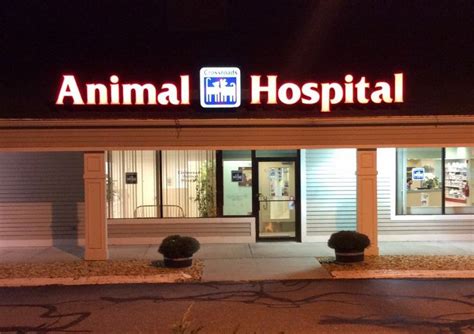 You can see how to get to city cat vet clinic on our website. Animal Hospital | Top Dog Information