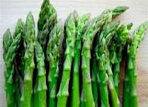 Manfaat Asparagus Untuk Kesehatan Tubuh Pelangiqq Lounge