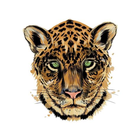 Jaguar Leopard Head Portrait From A Splash Of Watercolor Colored Drawing Realistic Vector