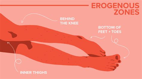 31 Erogene Soner Og Hvordan Du Berører Dem Et Diagram For Menn Og Kvinner