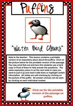expository practice passage nonfiction text puffins