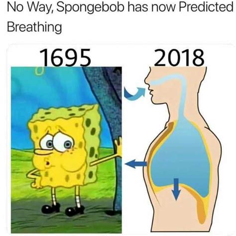 Memes No Way Spongebob Has Now Predicted Breathing 1695 2018