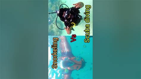 Difference Between Snorkeling And Scuba Diving Youtube