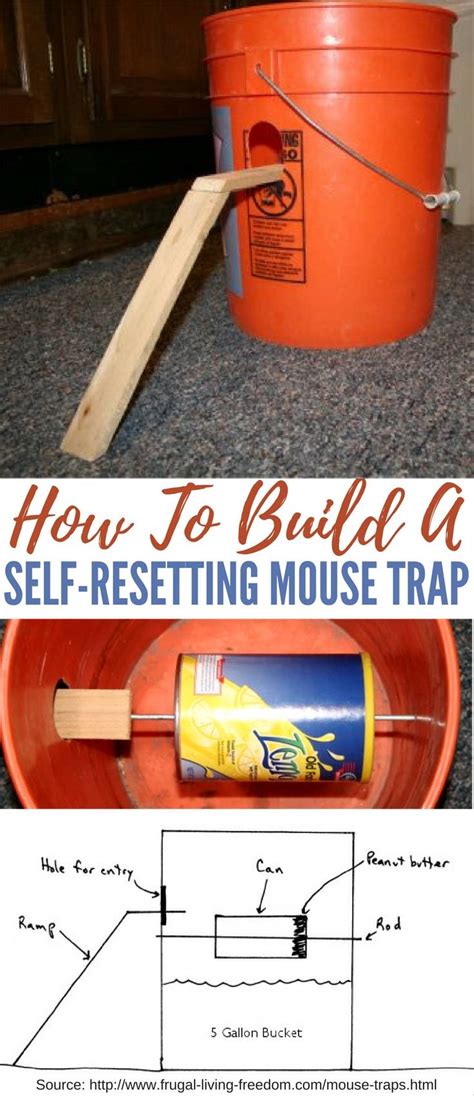 Mouse trap homemade good idea mouse trap bucket mouse trap #mousetrap #goodideamousetrap #bucketmousetrap. How To Build A Self-Resetting Mouse Trap
