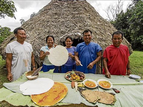 Secoya Significado Lenguaje Costumbre Y Mucho Mas