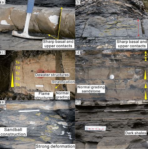 Typical Sedimentary Structures Of Deep Water Sediment Gravity Flow