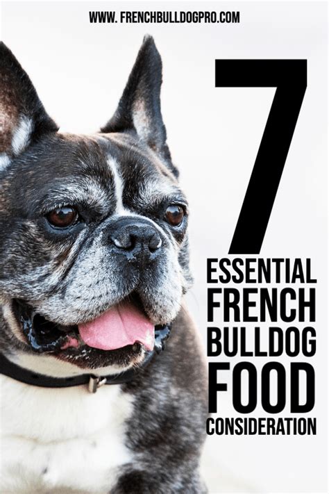 7 Essential French Bulldog Food Consideration Newsletter For French