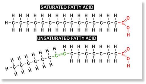 Vegetable Oil Is Saturated Or Unsaturated Socratic